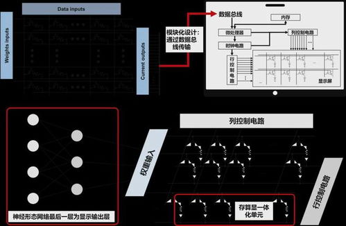 有機(jī)智能材料與器件?？?光電器件的前沿與展望